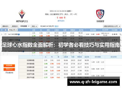 足球心水指数全面解析：初学者必看技巧与实用指南
